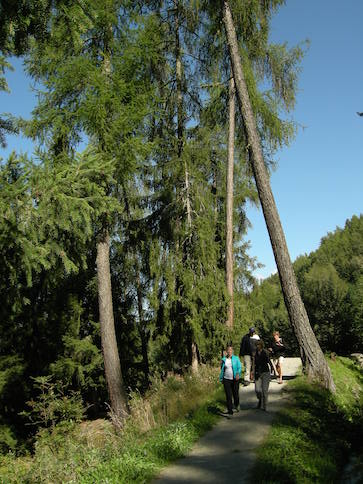 Paroisse | Sortie du Conseil en Valais, 2014